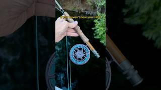 Have you seen a hatch fishing reel #fishingvideo