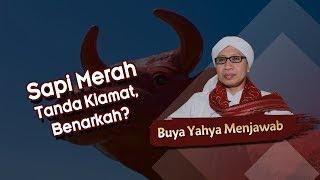 Sapi Merah Tanda Kiamat, Benarkah? - Buya Yahya Menjawab