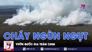 Cháy ngùn ngụt Vườn Quốc gia Tràm Chim - VNews