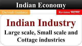 Indian Industry, Large Scale Industries, Small Scale Industries, Cottage Industries, Indian Economy