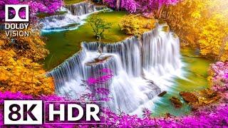 HIDDEN WONDERS OF EARTH | DOLBY VISION™ HDR 8K (240 FPS)