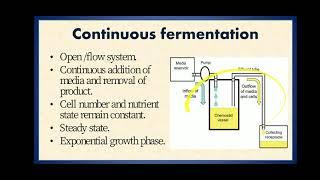 Batch and continuous fermentation