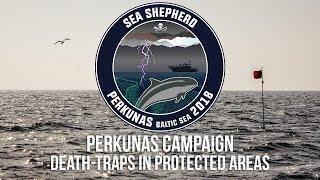 Perkunas Campaign:  Death Traps in Protected Areas