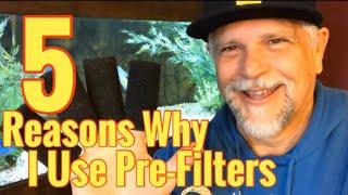 5 "Pre" Filter Tips for Your Aquarium!  Why I Use and Recommend Them!