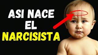 Conoce de Dónde Nace el NARCISISMO y su EGOCENTRISMO | psicología   #narcisismo