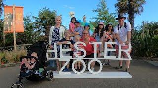 Chester Zoo - August 2022