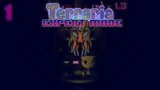 Terraria 1.3 - Expert Mode (ft. Last Grey Wolf) (Ep.1)