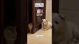 DOG JETH JEE | DUB KENDRA | RJ KISNA | BEHEN KO NAMAN