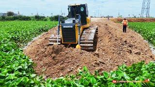 Show Skills SHANTUI Dozer push deep soil,Dump Trucks TRAGO 25t Unloading Soil Make Road Across Water