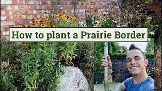 How to Design a Prairie Border for a Small Garden