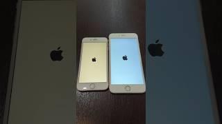 iPhone 6s vs iPhone 6s Plus on iOS 15 boot up test #shorts #ios15 #iphone6s #iphone6splus