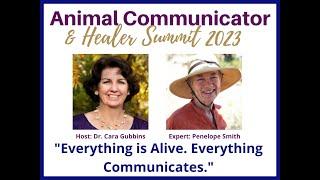 Everything is Alive. Everything Communicates. at the 2023 Animal Communicator & Healer Summit