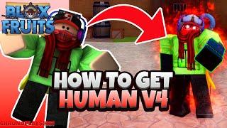 How to get Human V4 (Full Guide Race V4) - Blox Fruits (Update 18)