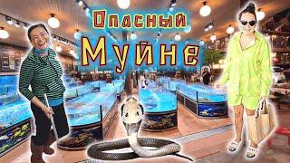 Вьетнам!!! Прогулка по рыбацкой деревне Муйне!!! Рестораны, еда, цены и ВСТРЕЧА С КОБРОЙ!!!