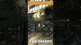 А вы знали?! Fallout 3 и ворота в Парадиз-Фоллз! #falo4 #fallout