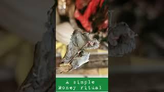 A Simple Money Ritual You Can Do! | Najaam P Lee