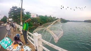 Amazing! Fish Catch And Sell On Bridge - Cast Netting And Catching Net Full Of Fish To Sell