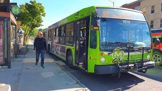 Quebec Bus