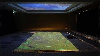 FUJIFILM Projector Z5000 - Projecting on Ceilings and Floors / FUJIFILM