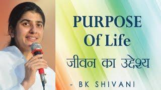 PURPOSE Of Life: Ep 22 Soul Reflections:BK Shivani (English Subtitles)