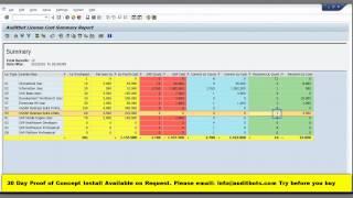 sap license audit compliance tool tips - User license type recommendation