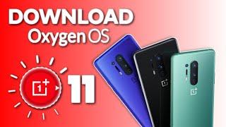 How To Install Oxygen OS 11 on your OnePlus Device | Quick & Easy!