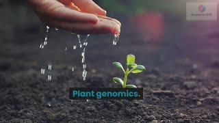 Plant Genomics