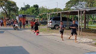 BOCIL DIKEJAR SETANAN ?! ARAK ARAKAN BARONGAN SINGO MANGGOLO LIVE MINTRENG