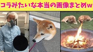 【神回】Xで話題の加工画像に見える本当のをいろいろまとめたら笑える神動画になったからみんな見てくれよなー！！