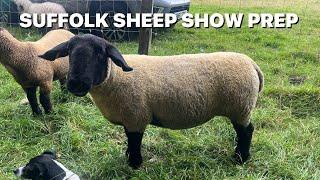 TRIM & COLOUR DYE OUR SHEEP FOR A SHOW | Failing at Farming