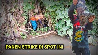 BEGINI JADINYA  MANCING BELUT DI SPOT YANG MASIH PER4WAN AUTO PANEN STRIKE