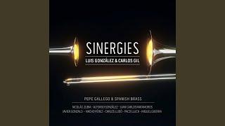 Sinergies