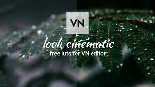 Color grading VN editor cinematic look - free luts/preset Download gratis