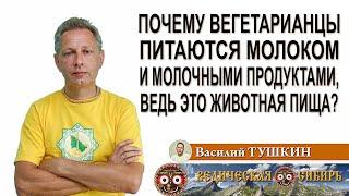 Почему вегетарианцы питаются молоком и молочными продуктами, ведь это животная пища?