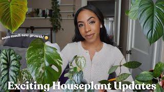 How All Of My New Plants Are Settling In + More Exciting Houseplant Updates 