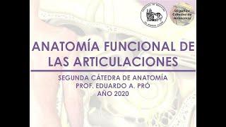 L1.1 | Anatomía Funcional de las Articulaciones | Anatomía 2 | FMed UBA