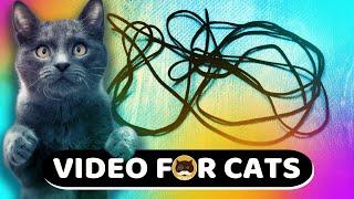 CAT GAMES - Paracord String. Video for Cats to Watch | CAT TV | 1 Hour.