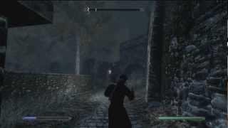 Skyrim Sample