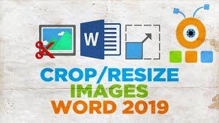 How to Crop or Resize Images in Word 2019 | How to Crop or Resize Picture in Word 2019