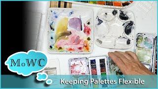 Choosing Watercolor Palettes with Flexibility in Mind