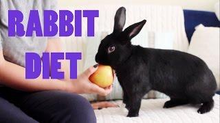 What Can Rabbits Eat? | Lennon's Diet