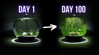 100 DAYS LATER EMPTY BOWL TRANSFORMED INTO THIS | EP2 BOWL AQUARIUM ECOSYSTEM