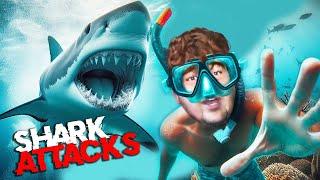 Shark Attacks While Collecting Soft Corals! Unbelievable What Happened!