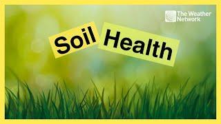 Adding Bacteria to Your Soil Could Help You Get Ahead of Your lawn Care This Year