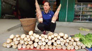 Bamboo Shoots Collecting / Harvesting Bamboo Shoots go market sell - Lý Thị Ca