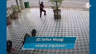 Con movimientos al estilo Karate Kid, hombre se enfrenta a un par de perros