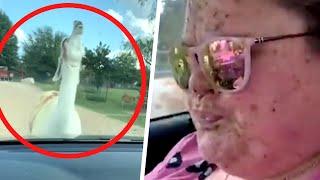 Angry Llama Spits In Womans Face And Other Animal Mishaps