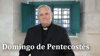  DOMINGO DE PENTECOSTÉS - Reflexión del obispo de Cartagena