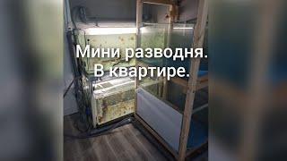 много чего нового.