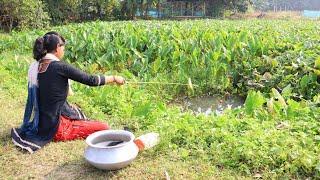 Fishing Video || You will be surprised to see the fishing talent of the village girl || Fish hunting